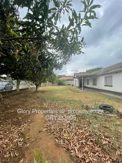 Solid Starter Home in Windsor  (Sole Mandate)